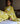 Lime Bloome Saree