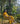 Narangi yellow kurta pants and dupatta